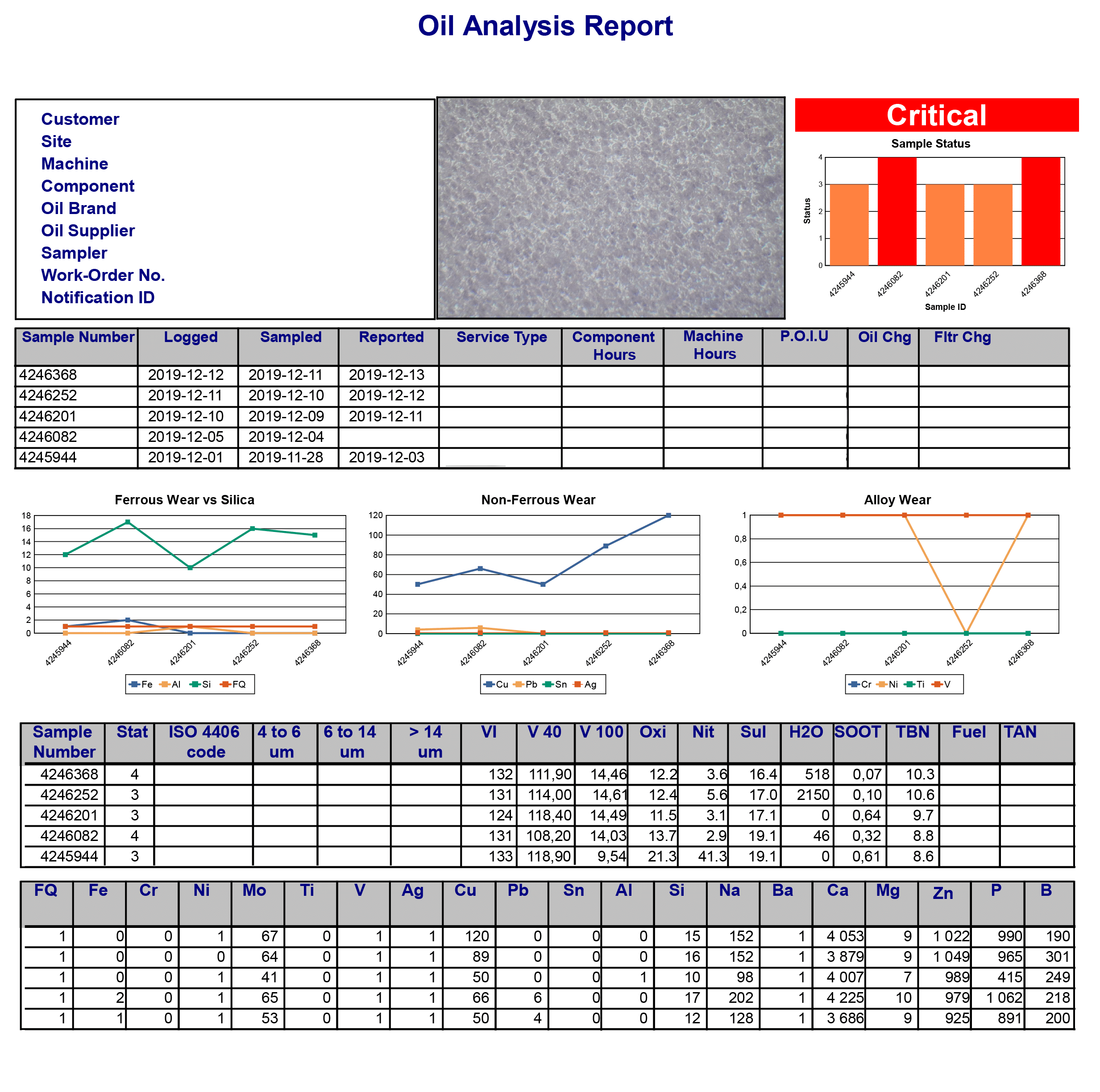 Critical Sample Report